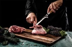 Forged Olive Uitbeenmes 16cm -Keuken Grill forged olive uitbeenmes 16cm 2